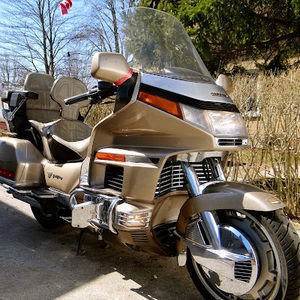 Meet your Posher, Wayne